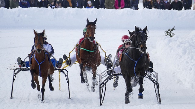 英超第14轮综述：利物浦平局+切尔西爆冷，阿森纳5分领先稳居榜首